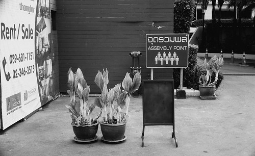 Assembly Point (35mm) | by jcbkk1956