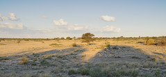 Looking East from Mabuasehube Pan site #3