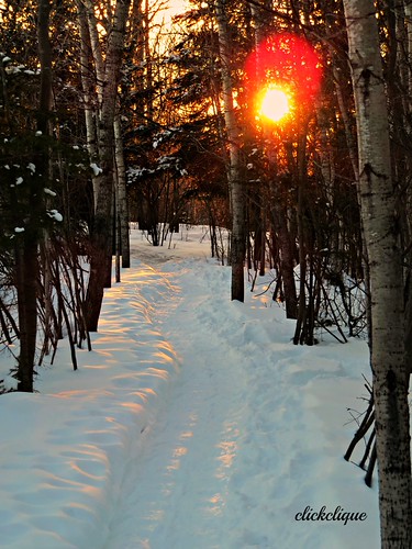 I was Looking back to see by clickclique,           The wonderful light on the snow on the trail.                     trees sunset sun snow co