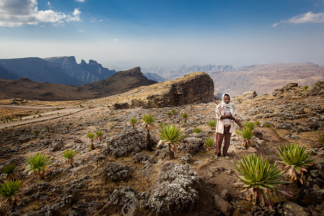 Ethiopie du nord: paysage du Simien.