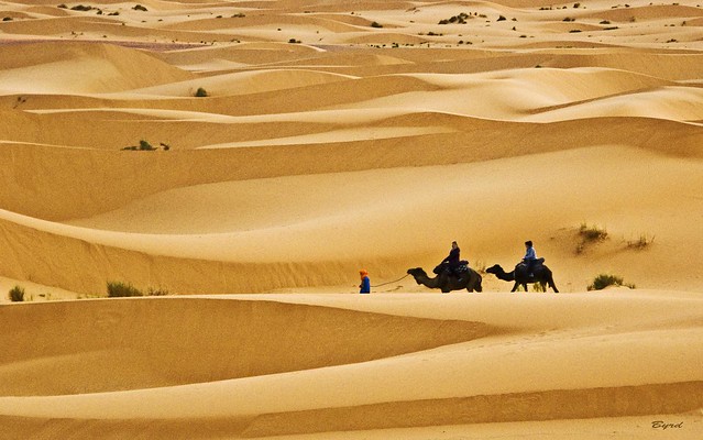 Travellers in the desert