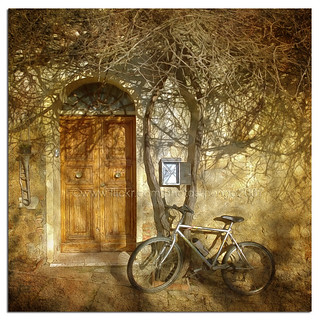 Bicycle under a tree | by pongo 2007