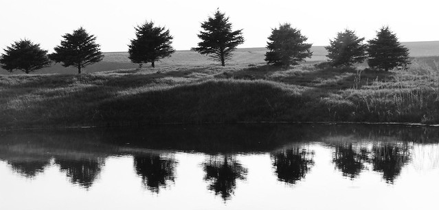 Explored-Farm Pond-IMG_0041ps2