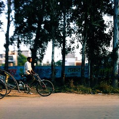 #rickshawportrait