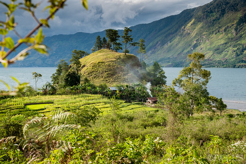 Image ID# Whalen-131004-5308 | Aceh Coffee Tour Series by joshwhalen, Visiting coffee farms and mills near Takengon, Aceh in northern Sumatra.travel lake seascape green w