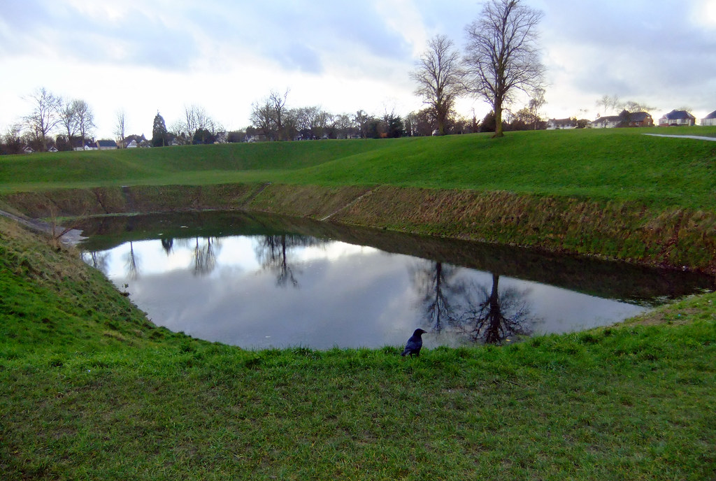 Image result for Carshalton hogpit pond