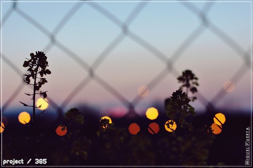 sunset canon lights luces bokeh f14 granada crepusculo 2014 ef50mm project365 mpuerta