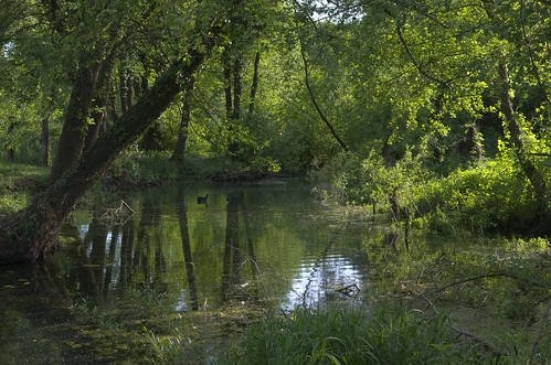 river landscape stream may croatia turopolje siget pentaxk5 novočiče vedranvrhovac
