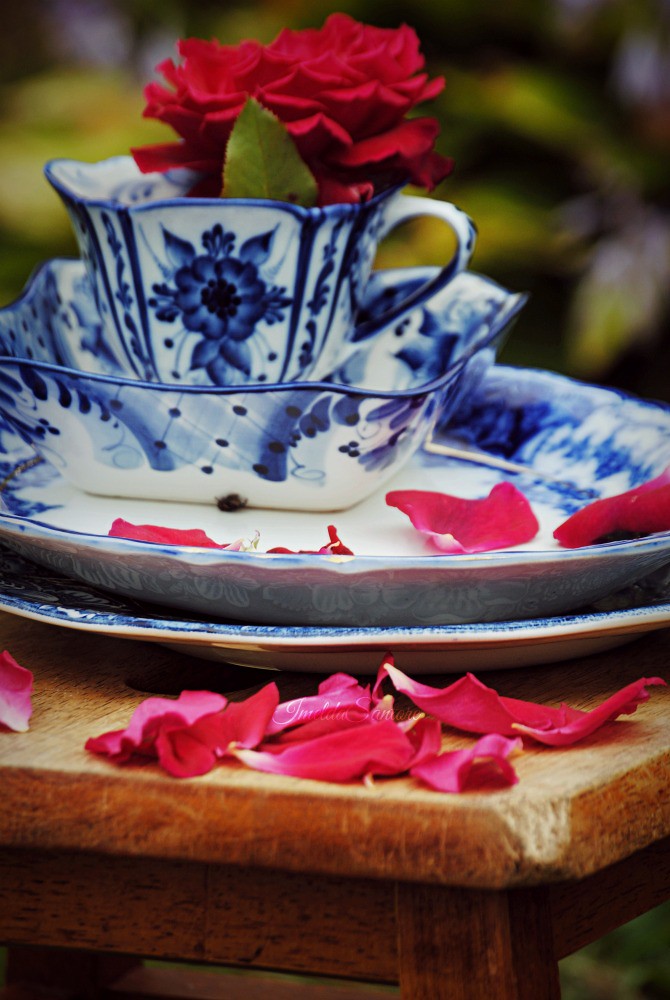 Teacup and petals