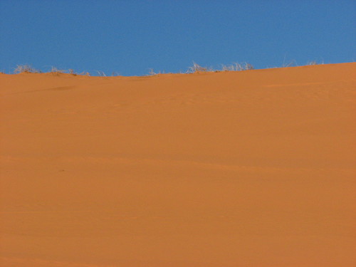 Sand Dunes 028 | by Chandler West