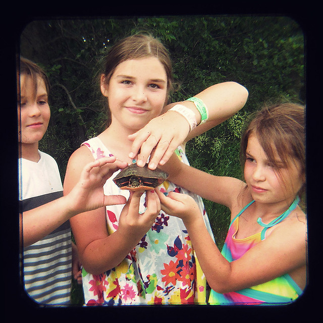 TtV2013:june28 ~ roadkill prevention squad poses with a grateful turtle after another successful mission