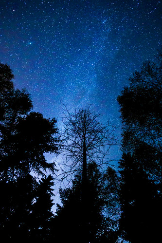 trees sky silhouette forest stars landscape scenery view space starry cosmos maisema metsä lightpollution milkyway tähdet avaruus tähtitaivas linnunrata