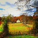 #baltimorephotographer #fallcolors driveby shooting - not #photojournalism, #reportage or #documentary #photography, just a #pretty #fall #landscape. #hashtagsoup