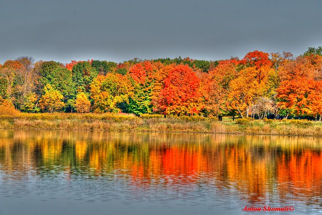 Fall colors and reflections
