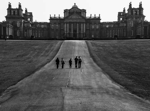 Blenheim | by Nick Biswell