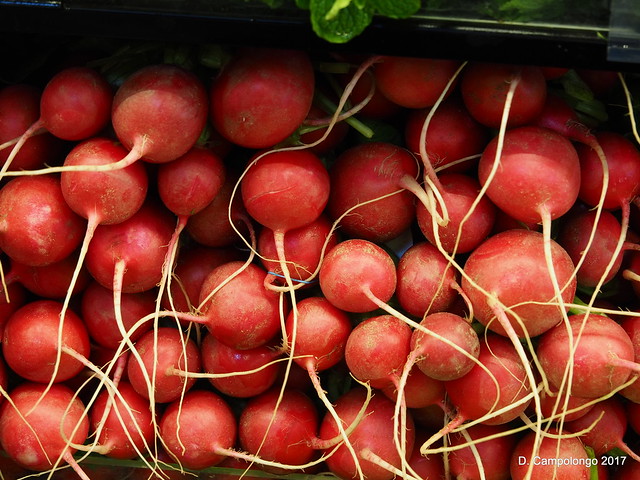 Red Radishes at Whole Foods Allentown PA