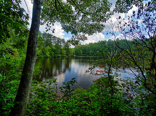 lakeplacid parismountainstatepark lake water tree forest landscape hdr