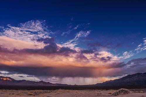 Mojave National Preserve | by missjessbess
