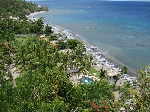 Palm Garden