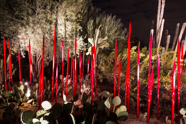 Chihuly in the Garden, 2014