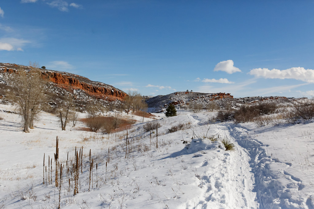 East Valley Trail, near Public Outreach