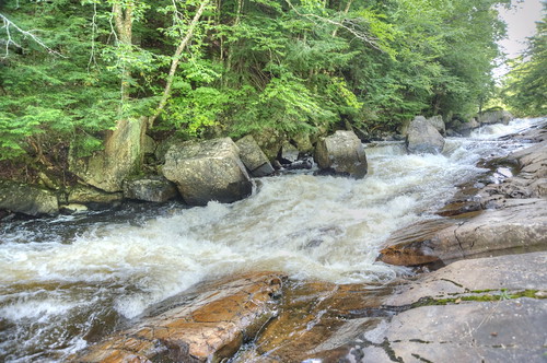 summer usa newyork water forest river us waterfall unitedstates wells waterfalls upstatenewyork northamerica runningwater hemlock naturalworld adk hamiltoncounty adirondackmountains adirondackforestpreserve adirondackpark hemlockforest sacandagariver nikond700 photogeorge austinfalls greatnorthernforest