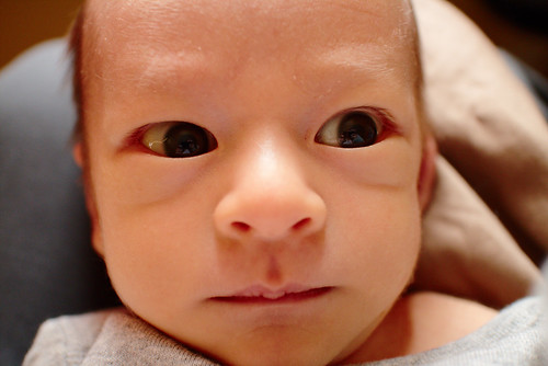 Reflective eyes newborn