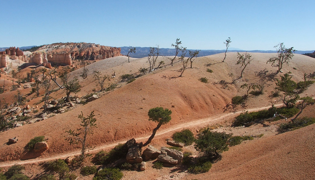 Bryce National Park: landscape with pink dunes