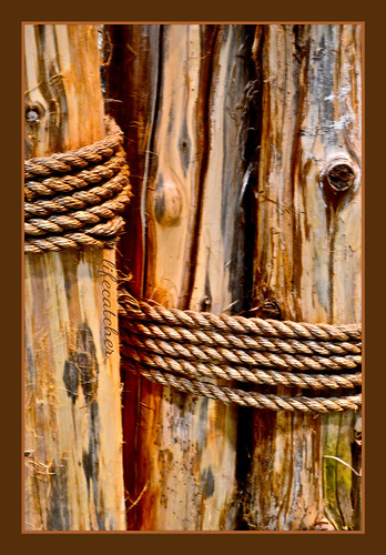 rope and posts | by lifecatcher2010