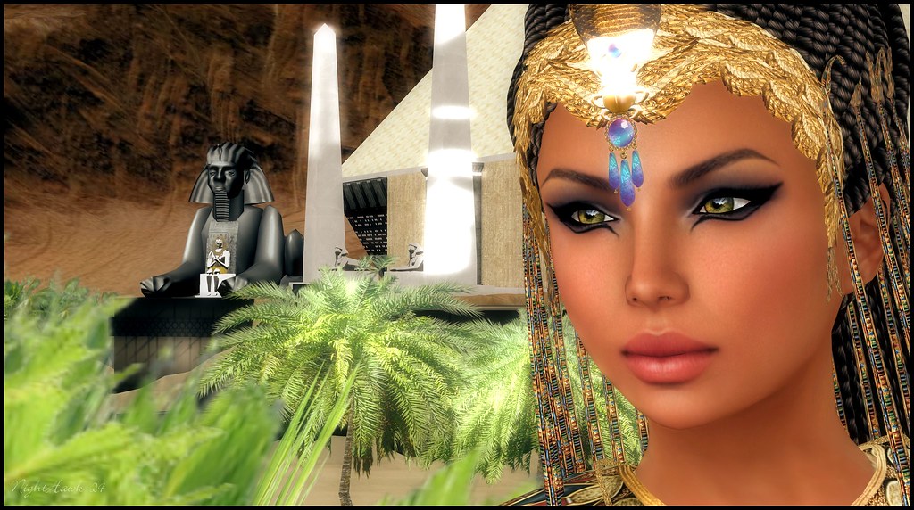 Egyptian Queen Upclose Frank Denzel Flickr
