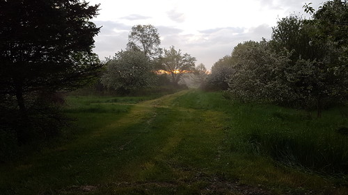 early morning mist by mendres314, taking an early morning walk in Alden Illinois to watch the sunrise and the mist. The apple trees al