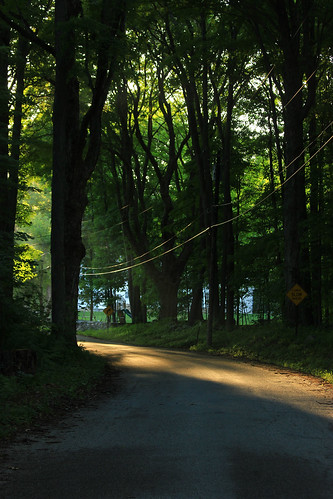 travel trees light tree nature beautiful weather rural forest landscape landscapes amazing globe dof earth exploring country ngc newengland depthoffield explore exquisite capture majestic picturesque discovery powerful forests breathtaking ruralamerica capturing greatnature greatphotographers capturinglight bestshotoftheday