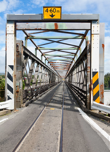Road-rail bridge | by Dmitri Naumov