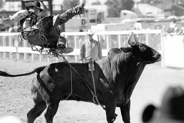 Bull Rider gets off the hard way