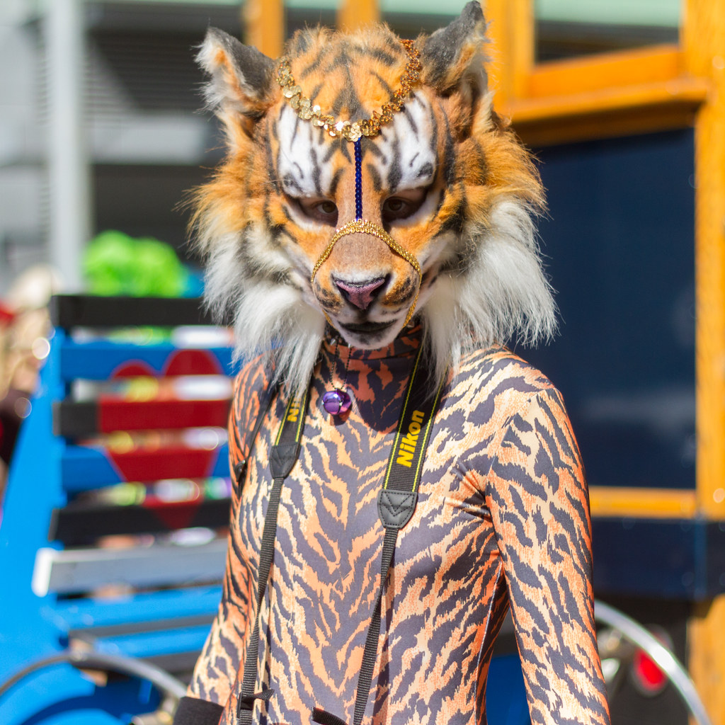 San Francisco Pride 2013: tiger tiger