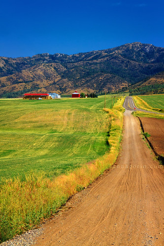 Country highway by Anna Gorin, Oh Swan Valley, it's really confusing having the main highway make a sharp turn but also have a dirt