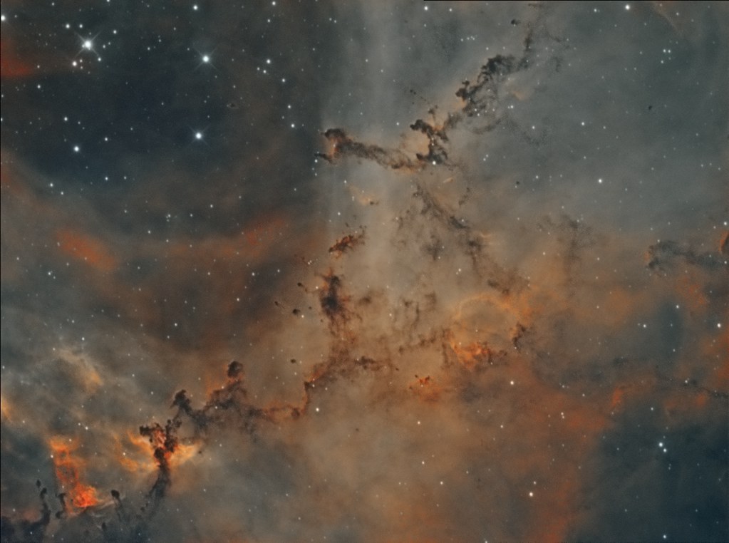 Bok Globules in the Rosette Nebula