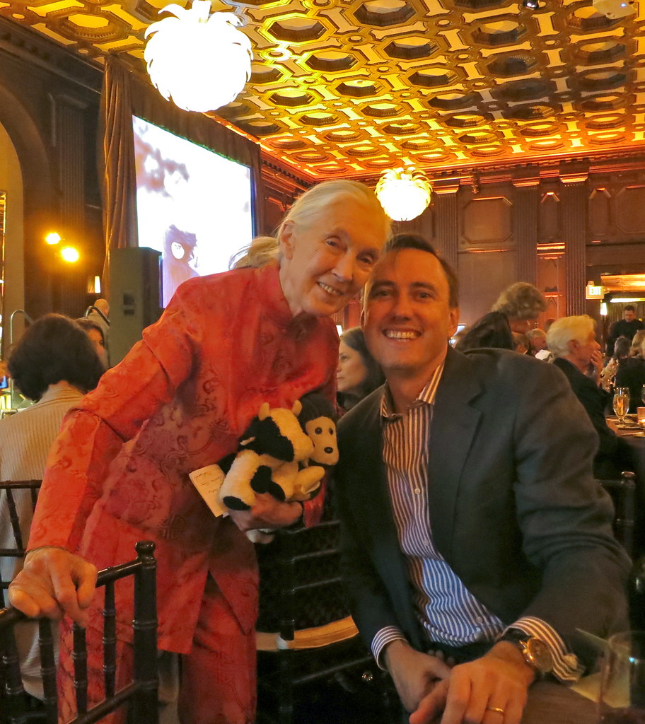 Royal Portraitist Gives Jane Goodall the Royal Treatment, Technically Speaking