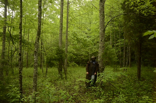 trees portrait green forest self persona virginia costume woods nikon cowboy path character hike trail disguise villain vr renegade outlaw selfie natureconservancy southwestvirginia 18200mm newrivervalley rustler renegado fallsridge d7000