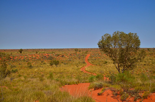 nature landscape redsand australia outback westernaustralia csr australianoutback outbackaustralia 17south canningstockroute gibsondesert littlesandydesert pathslesstravelled gibsondesertnorth