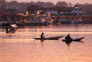 Dusk in the Middle of Dal Lake