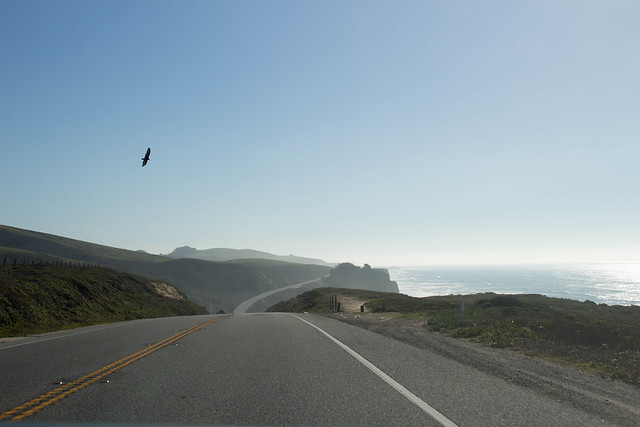 2015-California-roadtrip-12.jpg