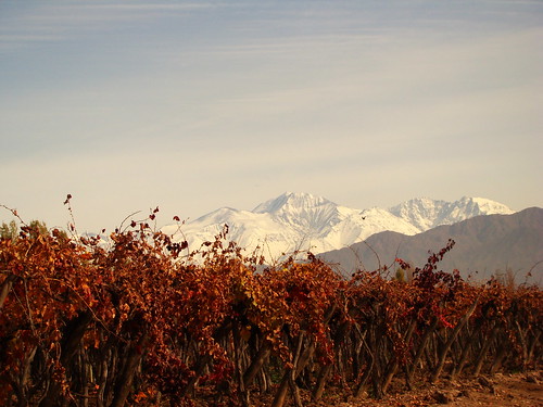 argentina vineyard mendoza montaña arg viñedos maipú sonyh9 mendozamaipú gustavocruceñomolina miargentina
