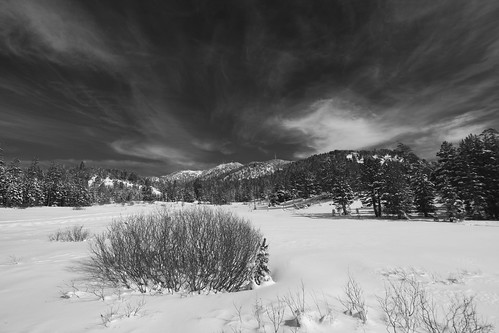 vacation blackandwhite lake snow cold ice nature monochrome canon snowshoe skiing meadow tahoe canonef17mmtse