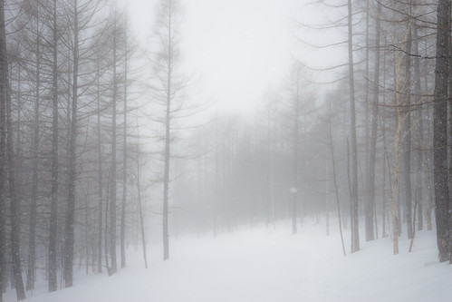 winter snow weather fog mystery forest landscape day snowy foggy doom sakhalin sonya7