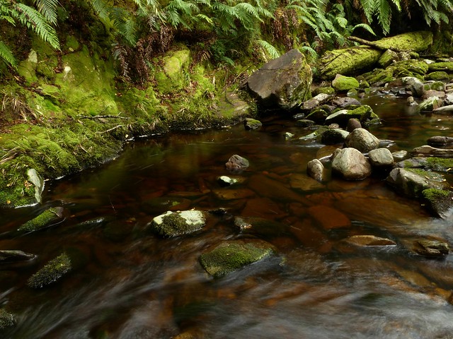 Blackwater Creek, Waiuta, West Coast