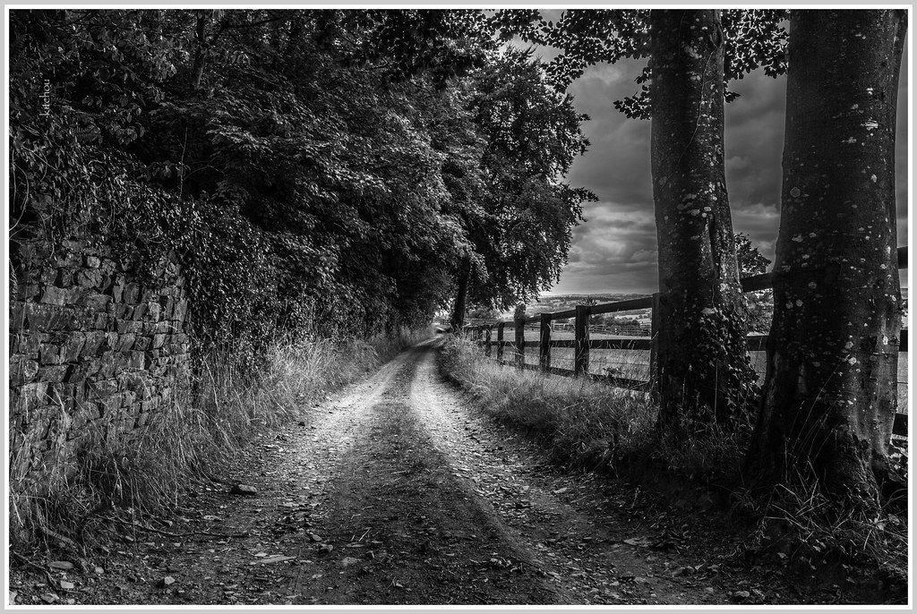 Beaten Path. | Kitchou BRY | Flickr