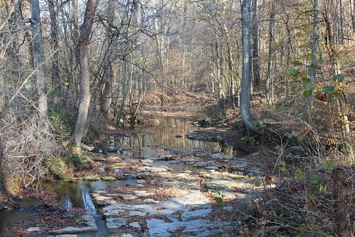 autumn fall leaves creek landscape rocks tennessee montgomery macadoo