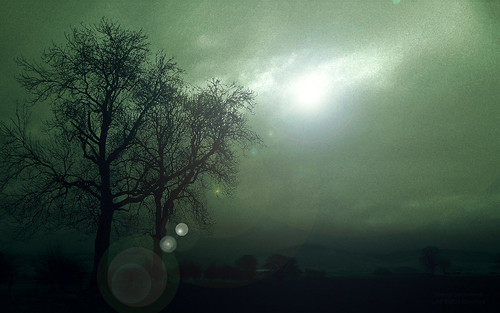 she trees light green landscape lightandshadows mood moody atmosphere sdp darknessandlight sheenaduckworthphotography