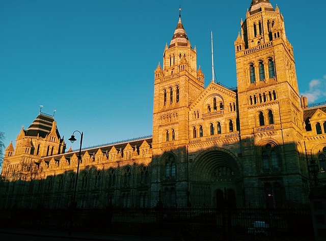 Natural History Museum, early Winter sun.